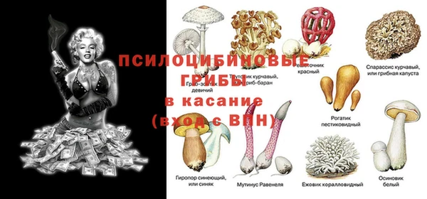 гидропоника Баксан