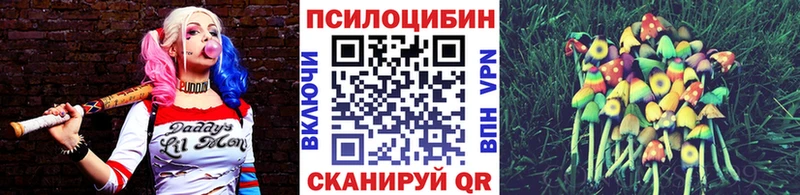 mega ONION Давлеканово Псилоцибиновые грибы прущие грибы
